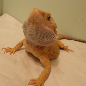 DSCN0524