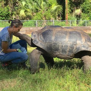 Aldabra Breeders