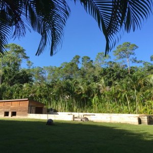 Aldabra Breeders