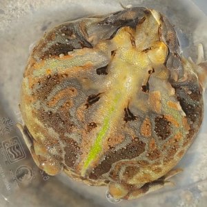20170508_155320-1