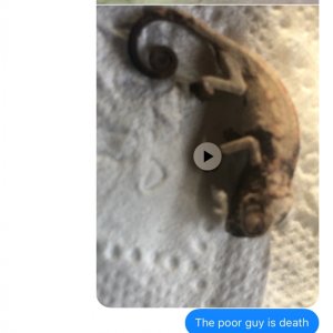 Proof of the conversion from Alfonso Tangherlini