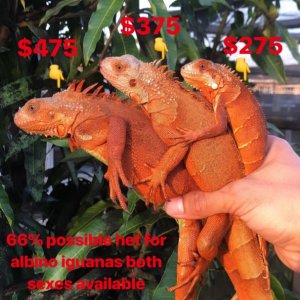 8CC75774-ADCC-4AF2-8041-3C24ED890E6D