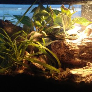 20190429_073341