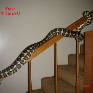 Eden