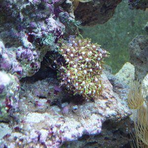 Picture_091