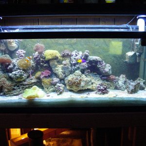 Picture_083