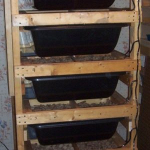 6 Tub Rat Rack