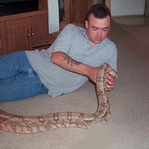 Hog Island Boa Female