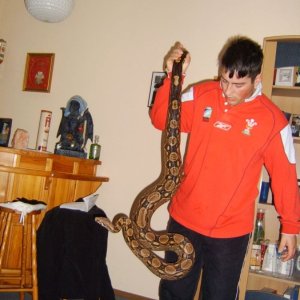 i love my boa/s