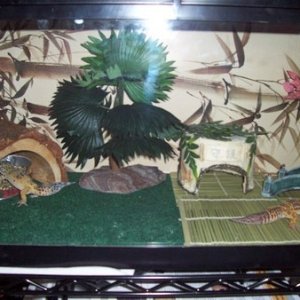 My Leos' Zen Palace