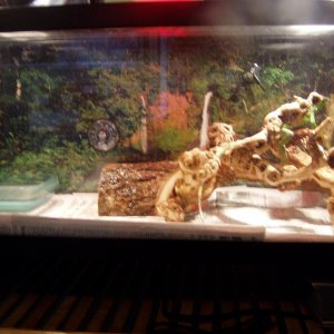 my tank and ig
