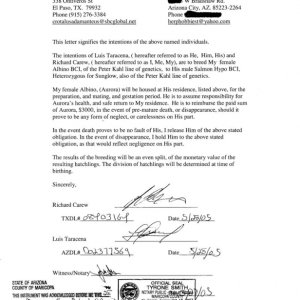Luis Taracena Broken Contract