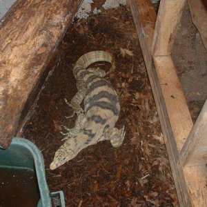 Sulfer water monitor
