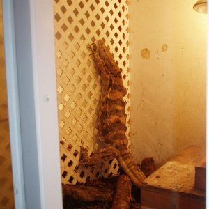 Sulfer water monitor