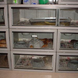 DSC02826
