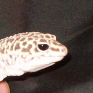 Mandisa eye