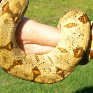 Misty's pattern