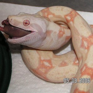 CA06-13M Eating 2