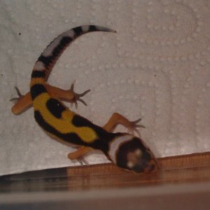 baby_05-10-06