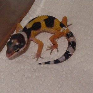 baby2_05-10-06