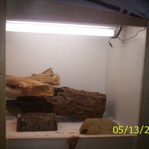 New enclosure