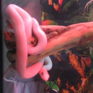 Picture_071