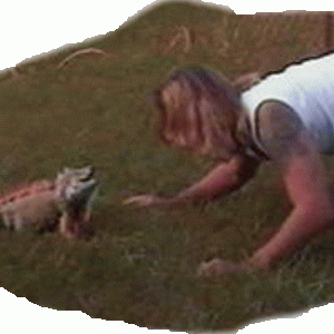 Training in the yard