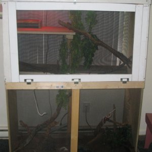 Newly built enclosure