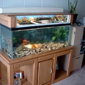 Turtle tank