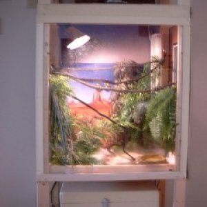 Ambanja Chameleon Cage