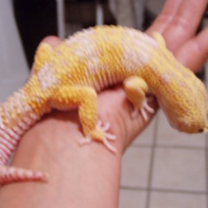 bichitos016