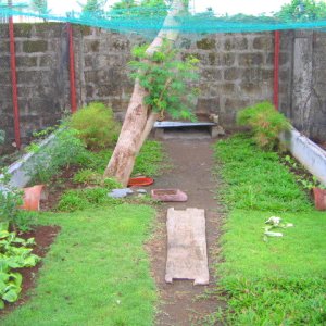 Tortoise Enclosure