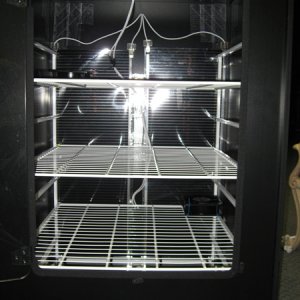 Incubator