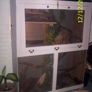 Self Built Snake enclosure