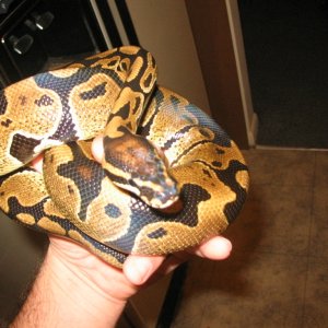 newest addition to family