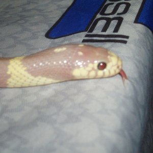Picture_123