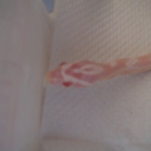 Picture_057