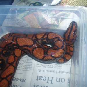 Picture_361