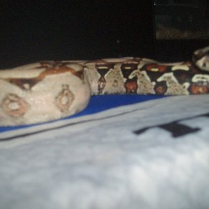 Picture_016