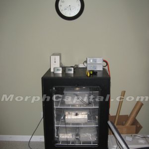 Incubator