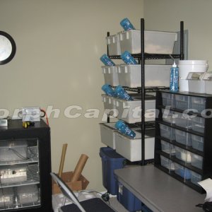 Snake_Room2