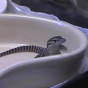 Ichi