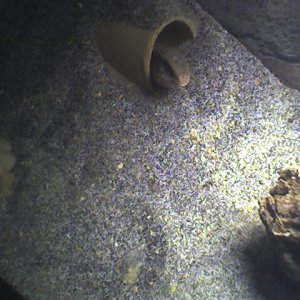 Photo_072007_005