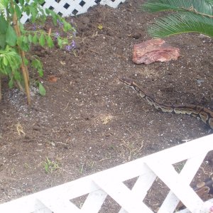 Picture_314