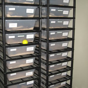 MC_9_19_07_6