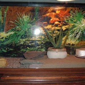 Spot and his Tank