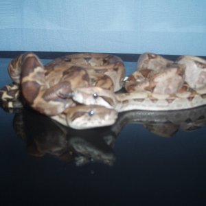 Picture_0261