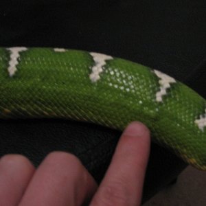 Picture_004