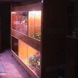 Custom Built Wall Unit