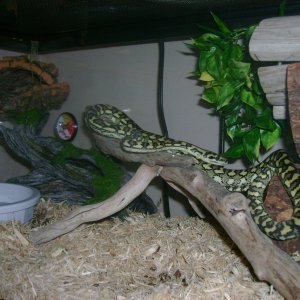 Updated Luci Pic 3